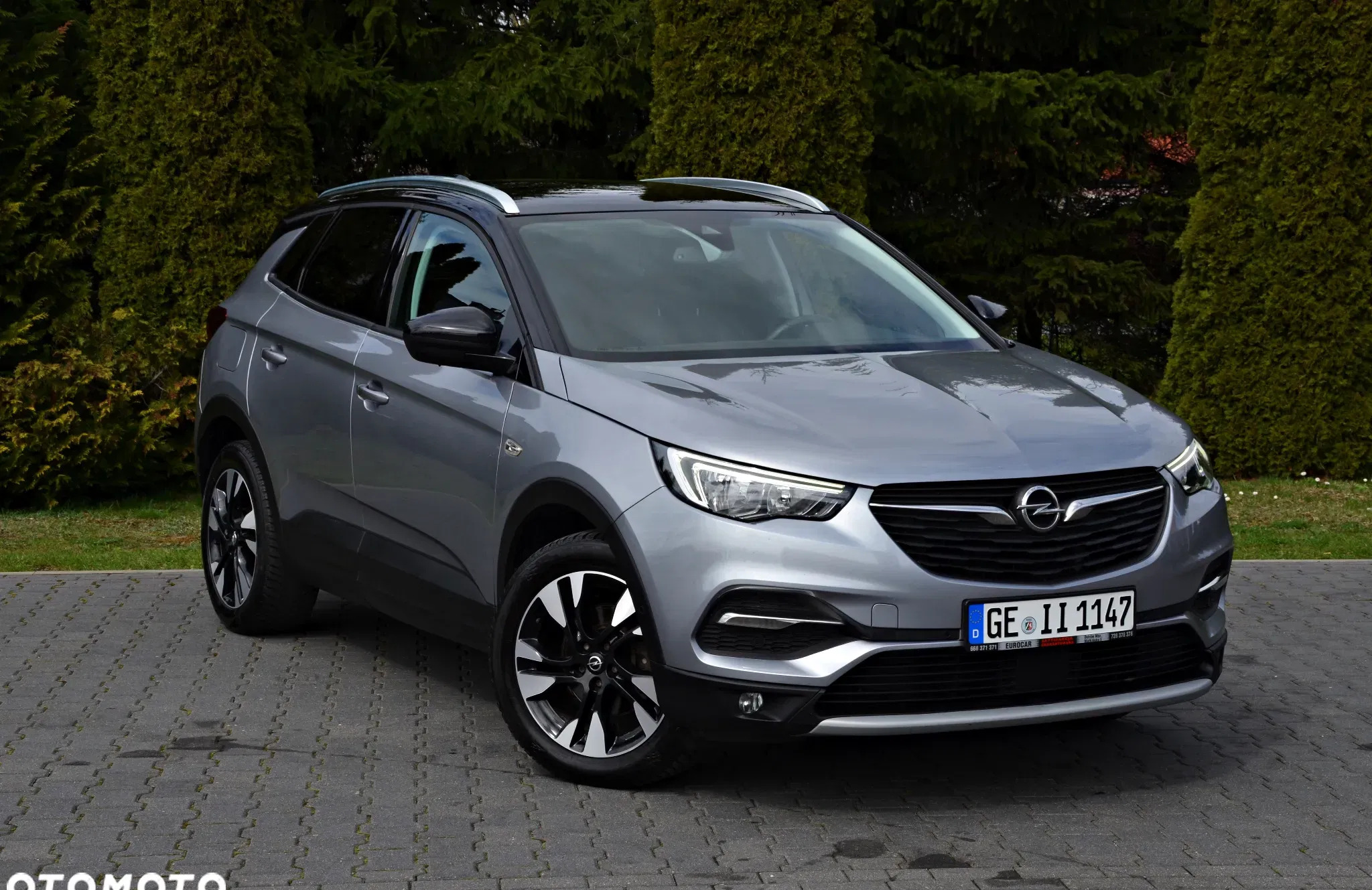 mazowieckie Opel Grandland X cena 65900 przebieg: 186000, rok produkcji 2019 z Żychlin
